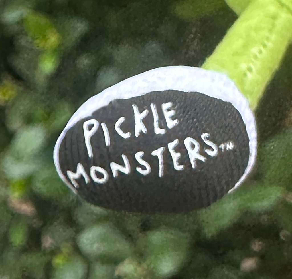 Plush Pickle Monster Bag Charm - Keychain - stuffed Pickleball doll